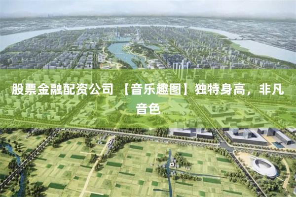 股票金融配资公司 【音乐趣图】独特身高，非凡音色