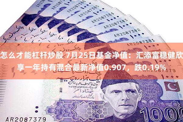 怎么才能杠杆炒股 7月25日基金净值：汇添富稳健欣享一年持有混合最新净值0.907，跌0.19%