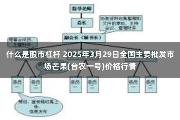 什么是股市杠杆 2025年3月29日全国主要批发市场芒果(台农一号)价格行情