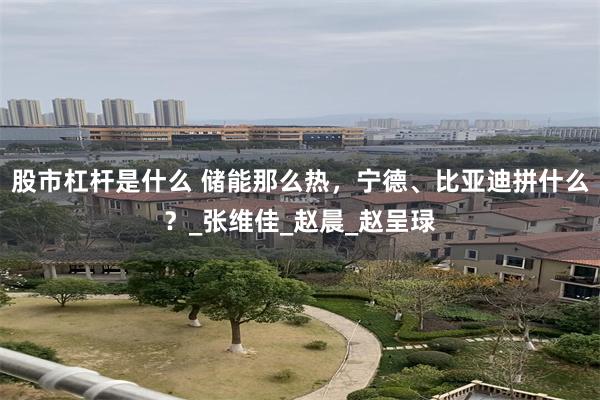 股市杠杆是什么 储能那么热，宁德、比亚迪拼什么？_张维佳_赵晨_赵呈琭