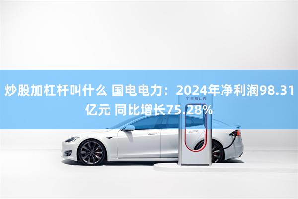 炒股加杠杆叫什么 国电电力：2024年净利润98.31亿元 同比增长75.28%