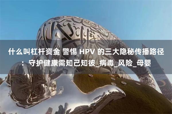 什么叫杠杆资金 警惕 HPV 的三大隐秘传播路径：守护健康需知己知彼_病毒_风险_母婴