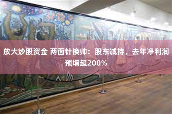 放大炒股资金 两面针换帅：股东减持，去年净利润预增超200%
