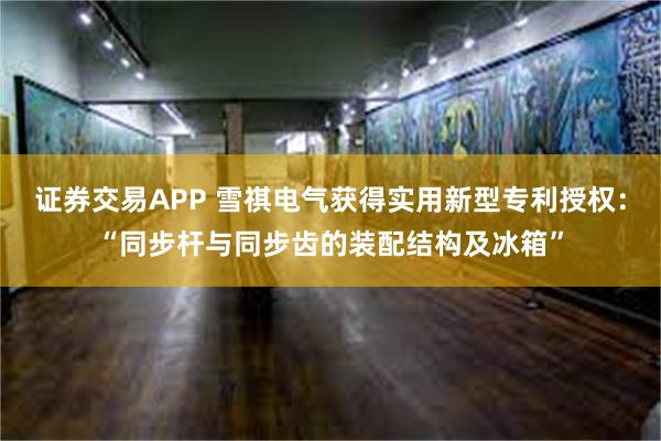 证券交易APP 雪祺电气获得实用新型专利授权：“同步杆与同步齿的装配结构及冰箱”