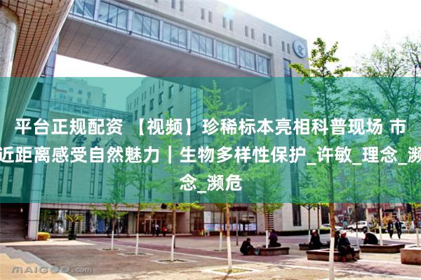 平台正规配资 【视频】珍稀标本亮相科普现场 市民近距离感受自然魅力｜生物多样性保护_许敏_理念_濒危