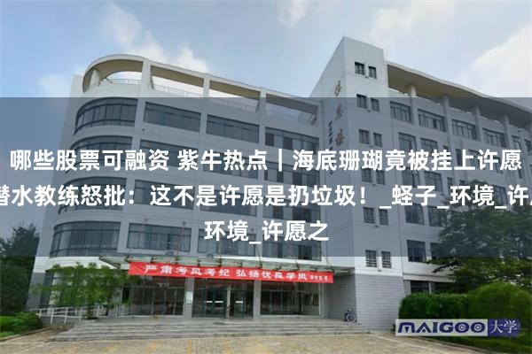 哪些股票可融资 紫牛热点｜海底珊瑚竟被挂上许愿牌 潜水教练怒批：这不是许愿是扔垃圾！_蛏子_环境_许愿之