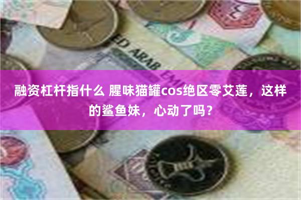 融资杠杆指什么 腥味猫罐cos绝区零艾莲，这样的鲨鱼妹，心动了吗？