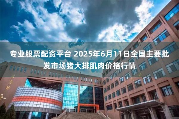 专业股票配资平台 2025年6月11日全国主要批发市场猪大排肌肉价格行情