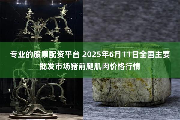 专业的股票配资平台 2025年6月11日全国主要批发市场猪前腿肌肉价格行情