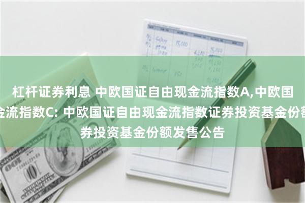 杠杆证券利息 中欧国证自由现金流指数A,中欧国证自由现金流指数C: 中欧国证自由现金流指数证券投资基金份额发售公告