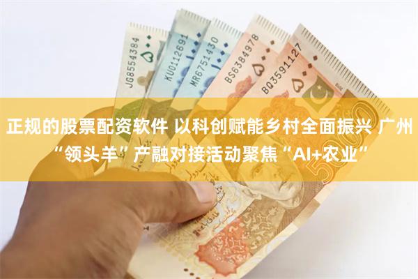 正规的股票配资软件 以科创赋能乡村全面振兴 广州“领头羊”产融对接活动聚焦“AI+农业”