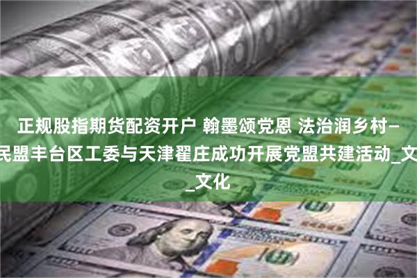 正规股指期货配资开户 翰墨颂党恩 法治润乡村——民盟丰台区工委与天津翟庄成功开展党盟共建活动_文化